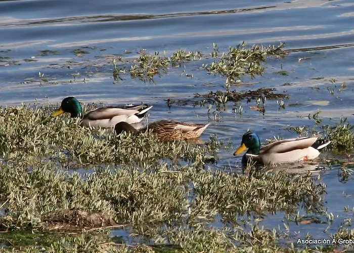 Bayona Playa Кемпинг